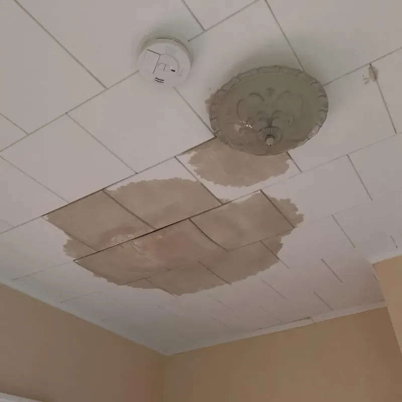 Ceiling Water Damage Repair in Allentown, NJ