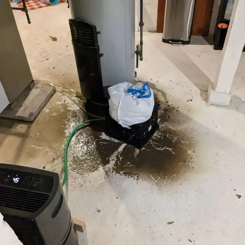 Sewage Backup Cleanup Service in Allentown, NJ